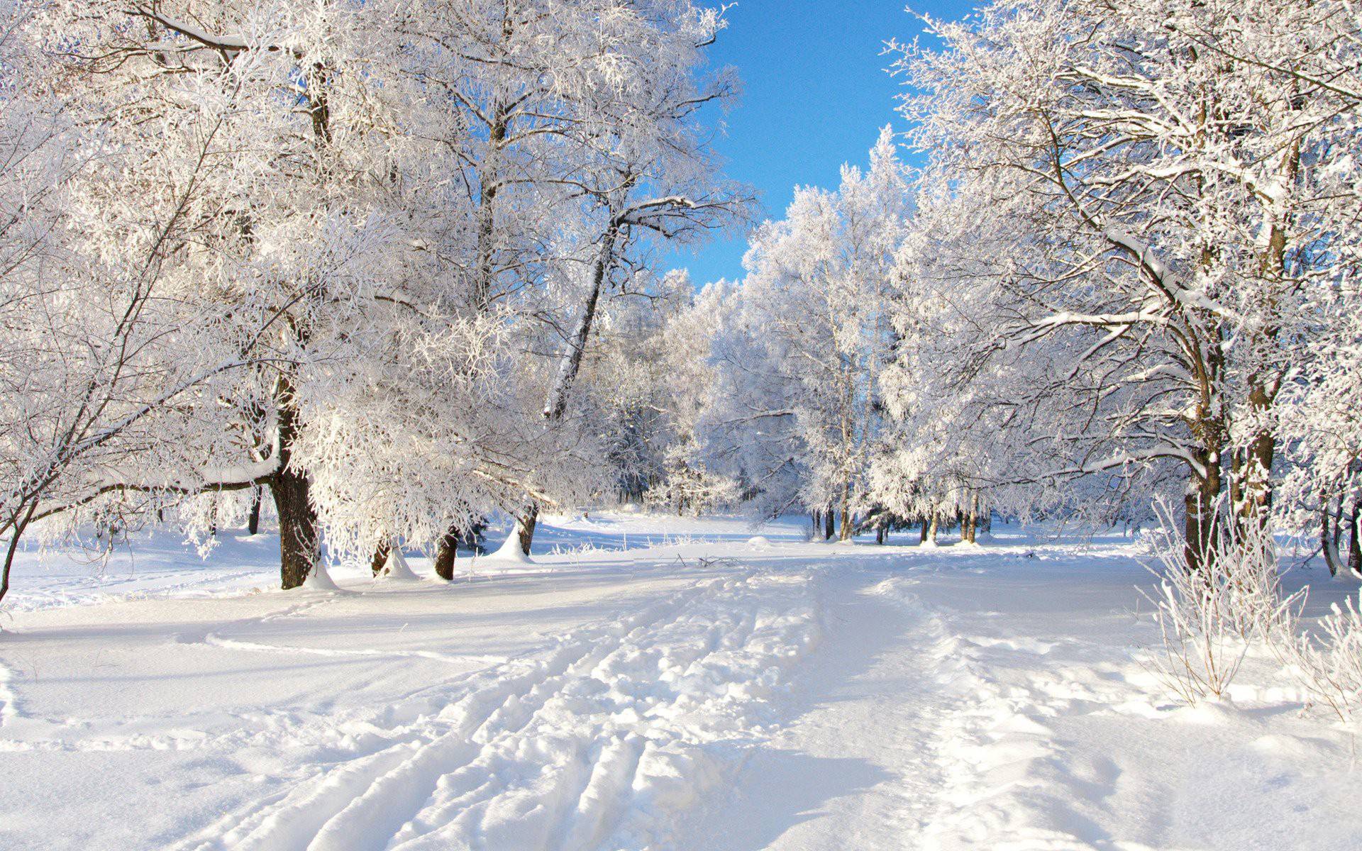 Winter Desktop wallpapers.jpg