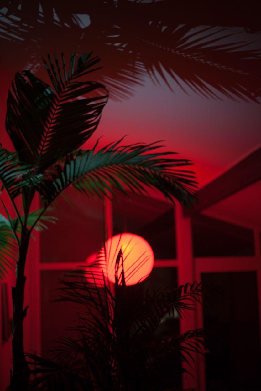 Red Aesthetic iPhone Picture.jpg