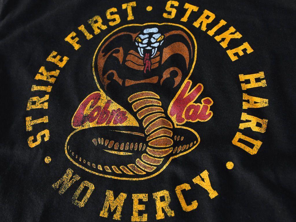 Cobra Kai pics.jpg