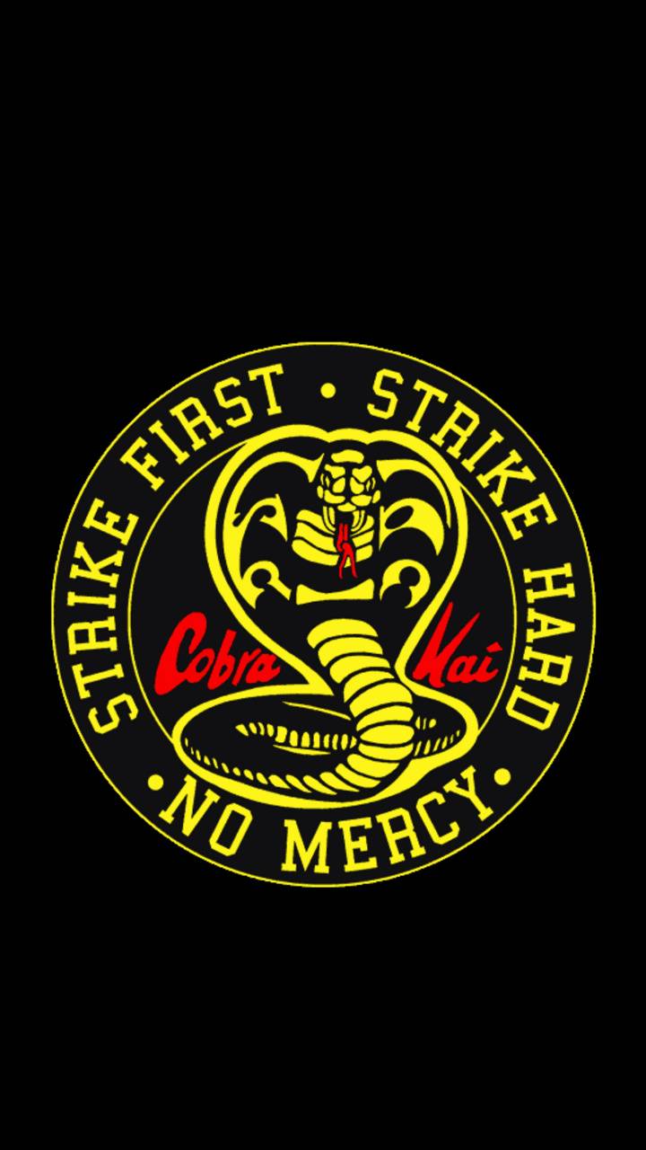 Cobra Kai pictures.jpg