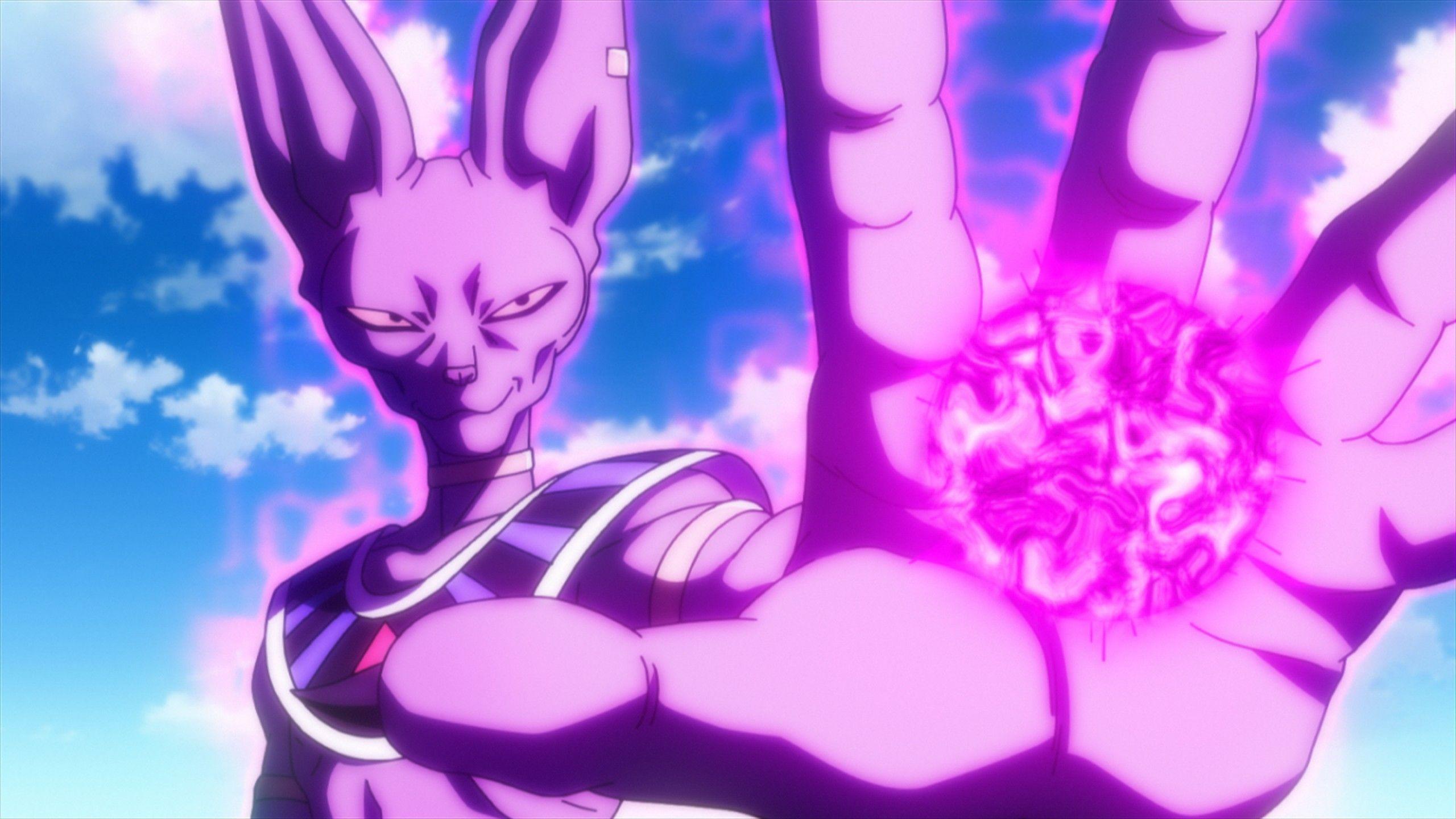 Beerus Pictures.jpg