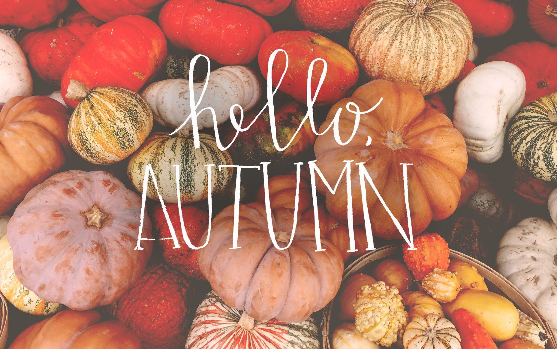 Fall Aesthetic Desktop Pictures.jpg