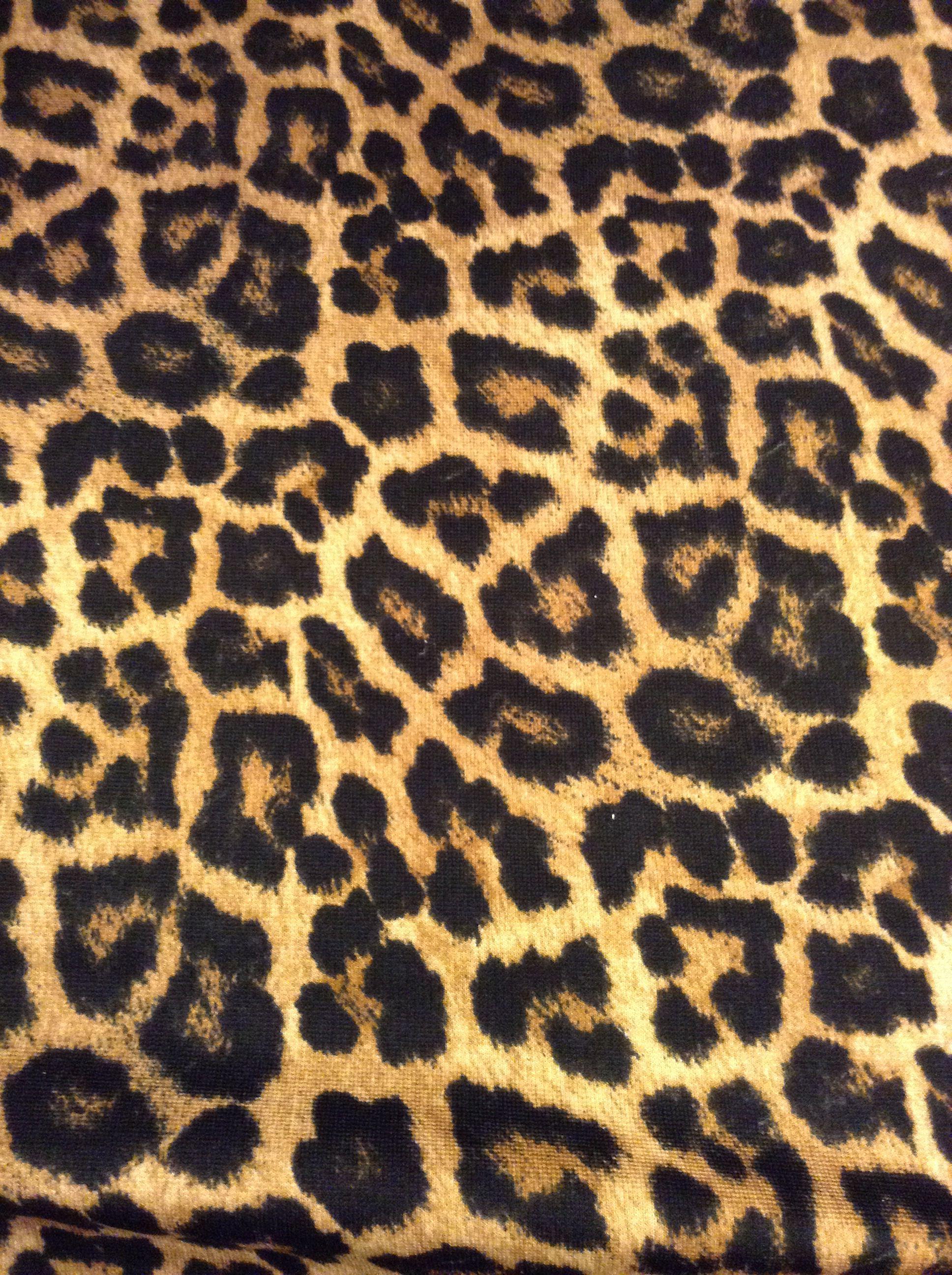 Cheetah Print wallpaper.jpg