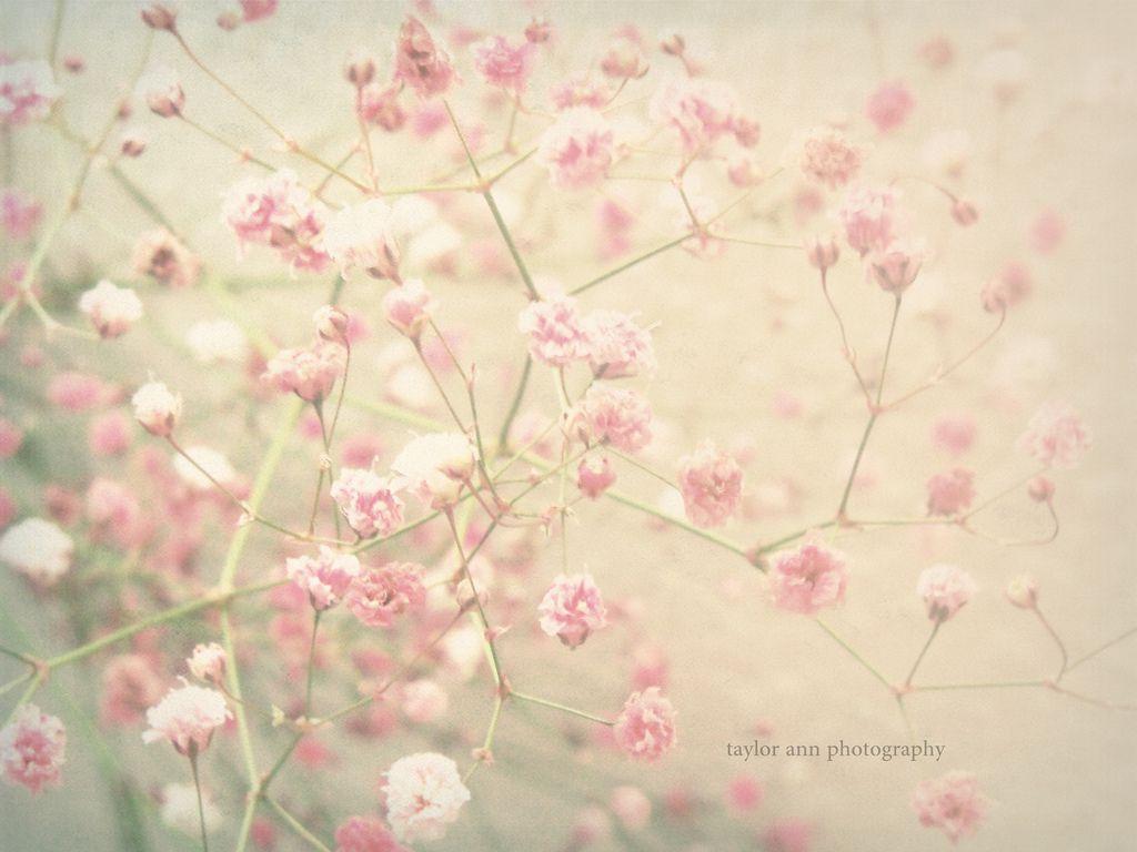 Vintage Pastel Picture.jpg