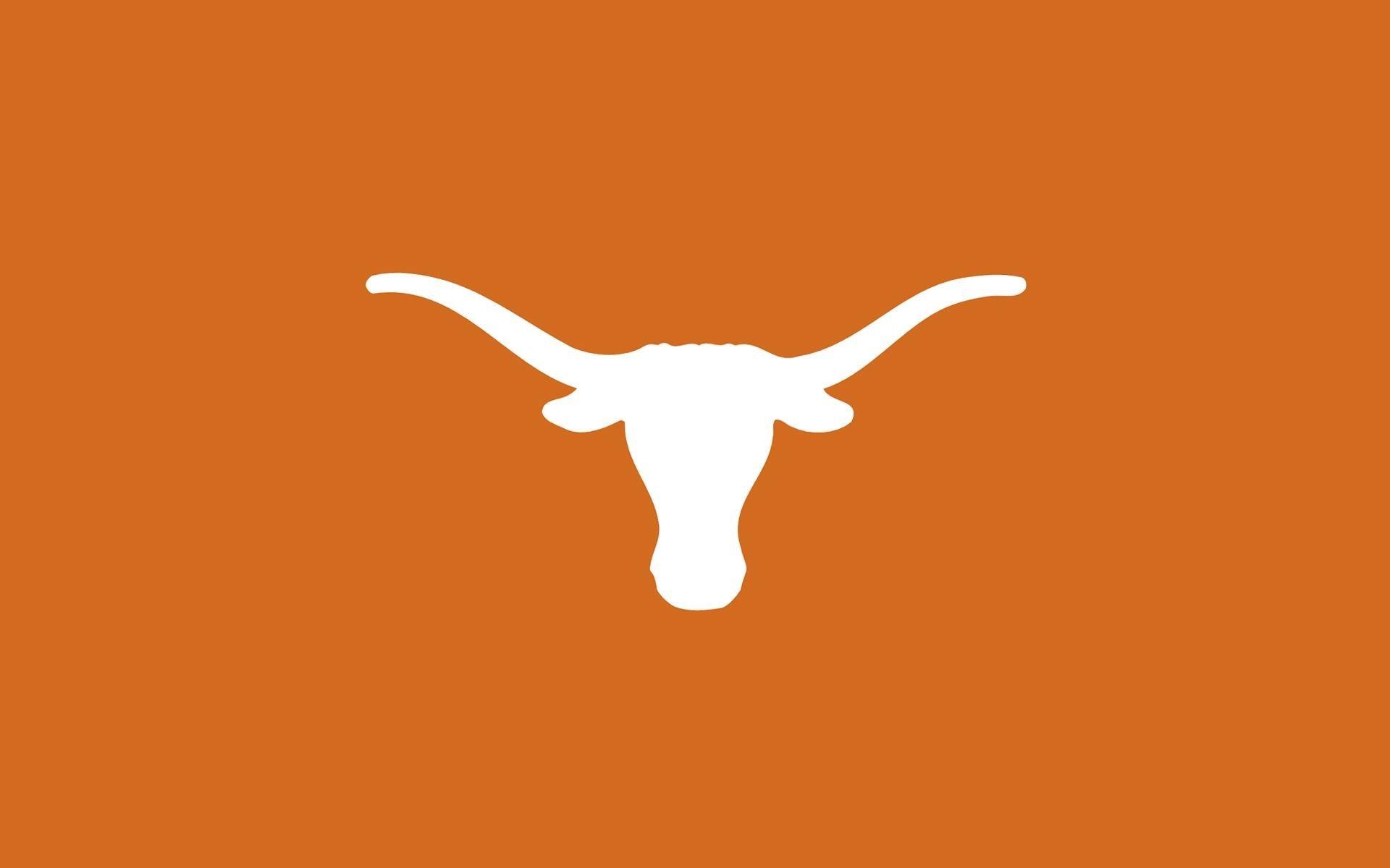 Texas Longhorn Pictures.jpg