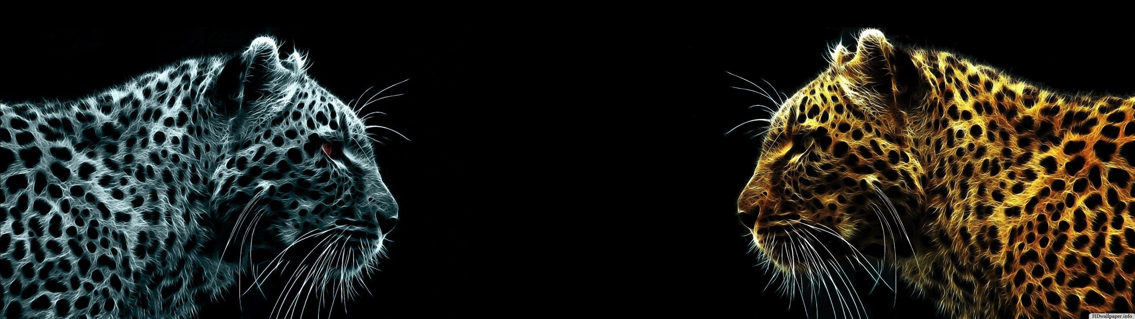 3840X1080 HD Dual Monitor Image.jpg