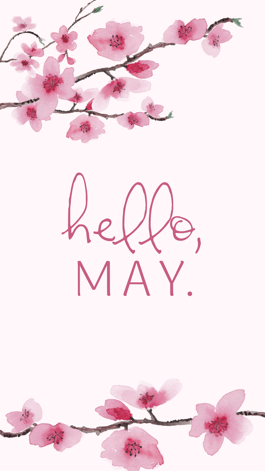 Hello May Photo.png