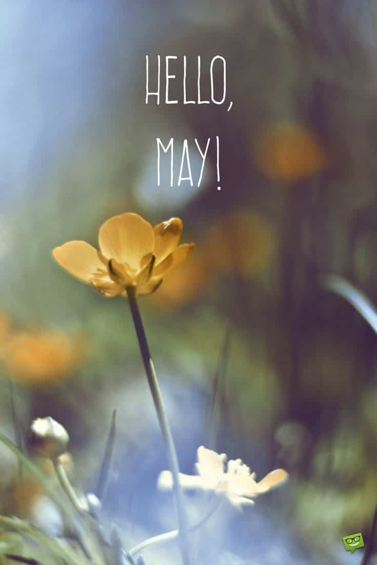 Hello May Pic.jpg