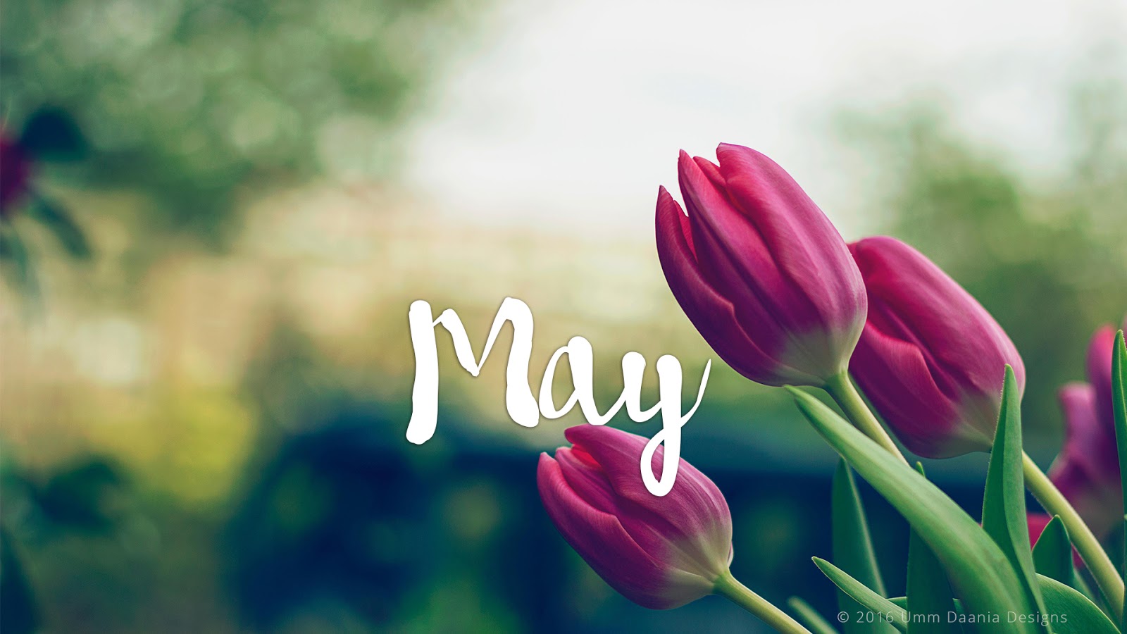 Hello May Picture.jpg