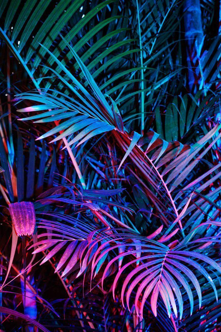 Neon Aesthetic Pictures.jpg