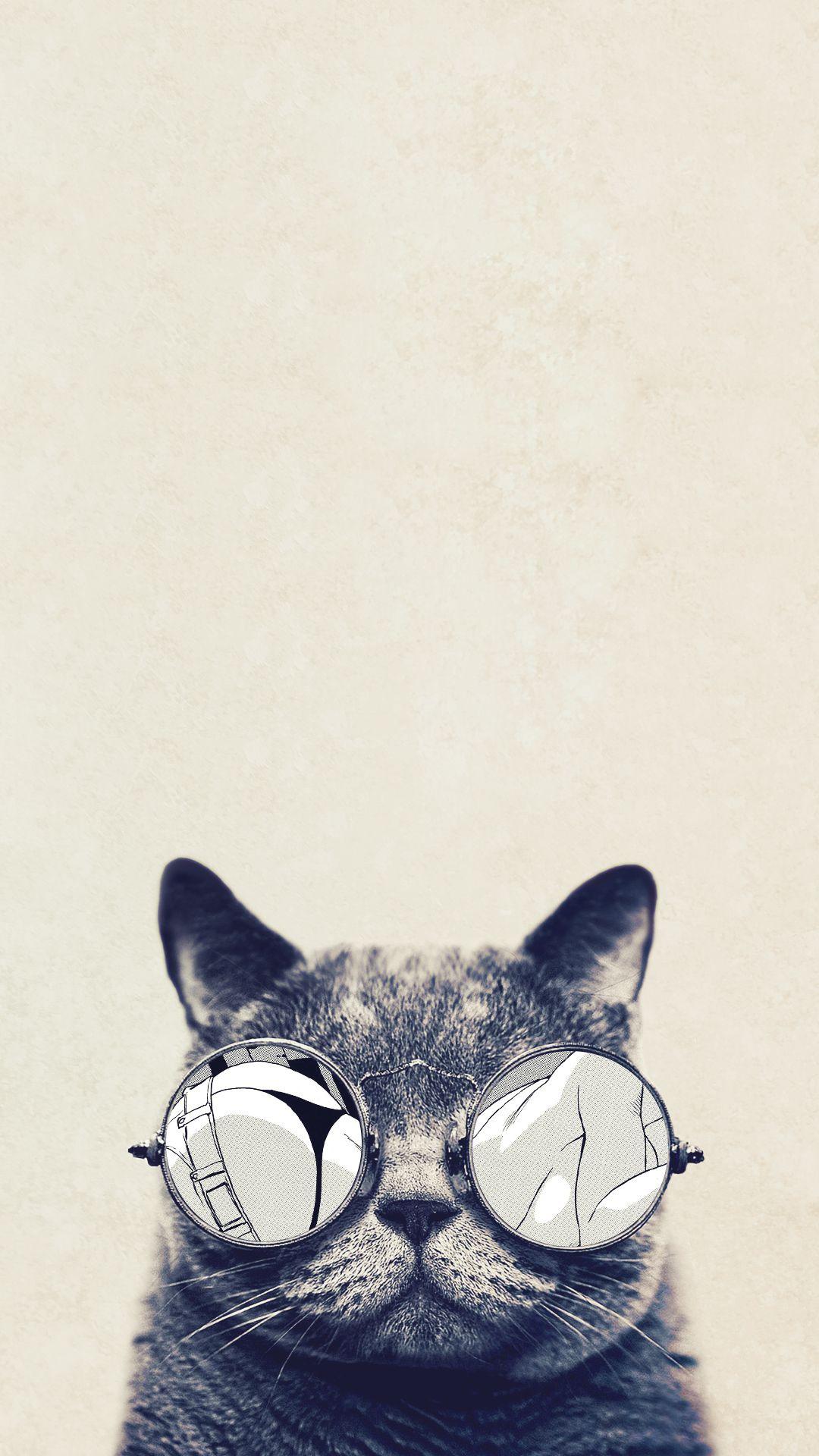 Cat Phone Wallpaper.jpg