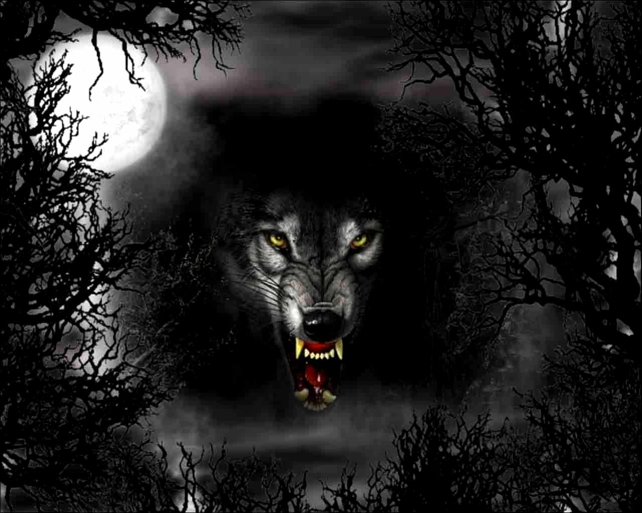 Black Wolf Wallpapers.jpg