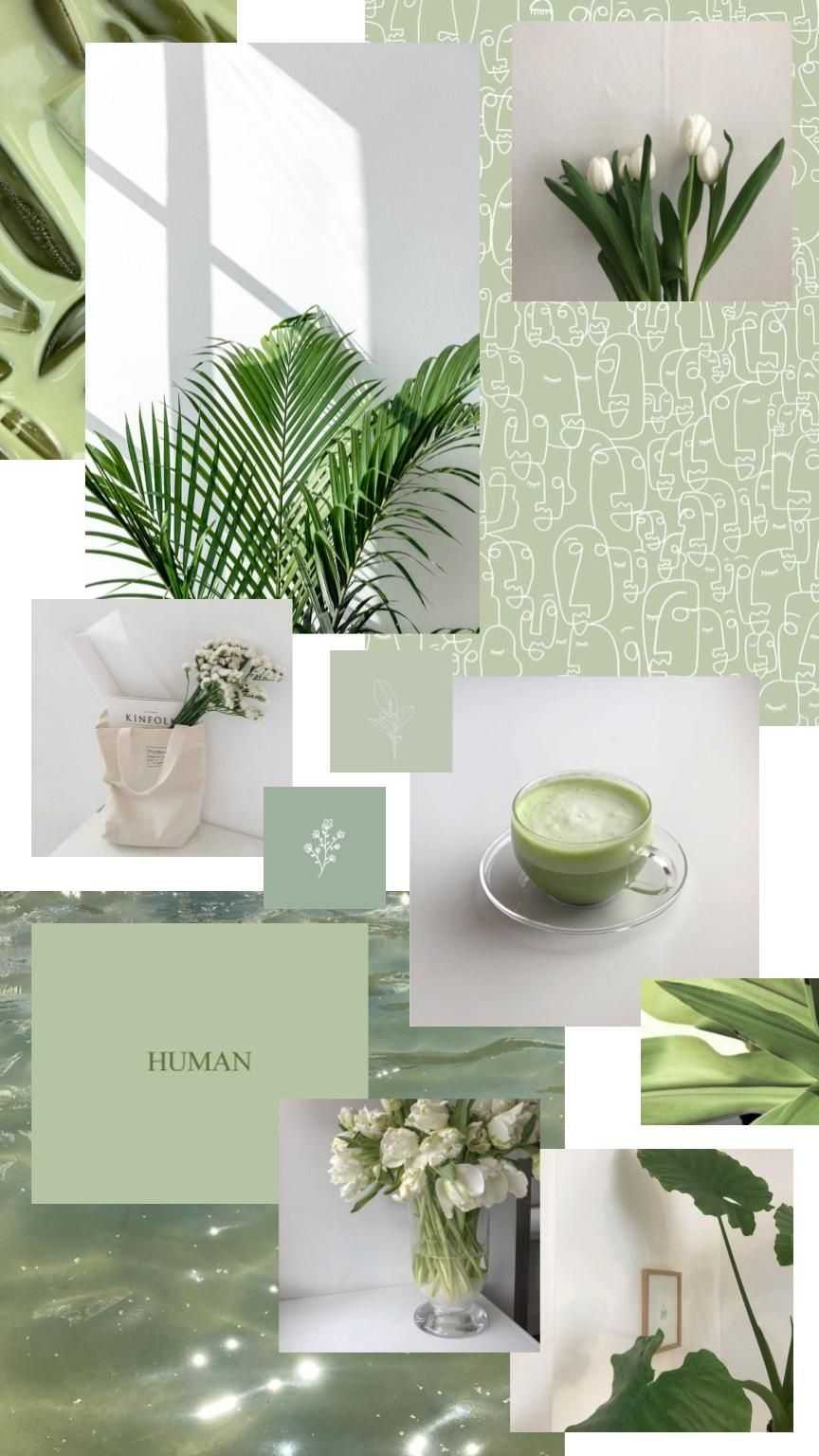 Sage Green Aesthetic Photo.jpg