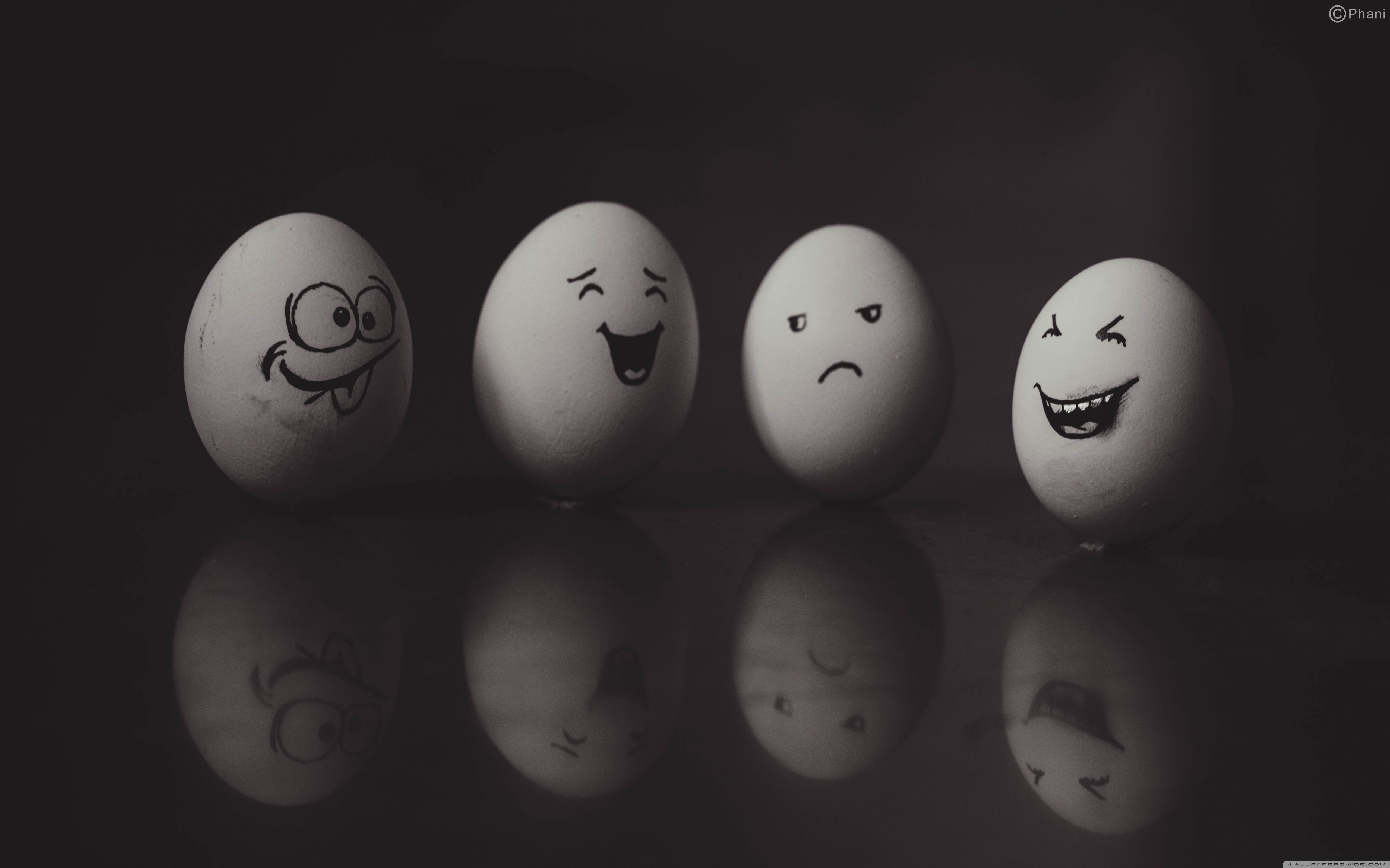 Funny Eggs Wallpaper.jpg