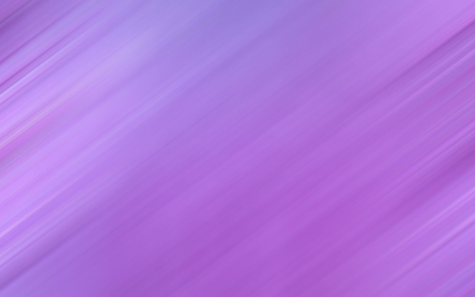 Light Purple pictures.jpg