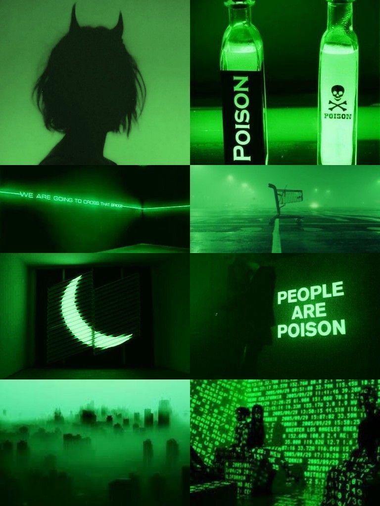 Dark Green Aesthetic wallpapers.jpg