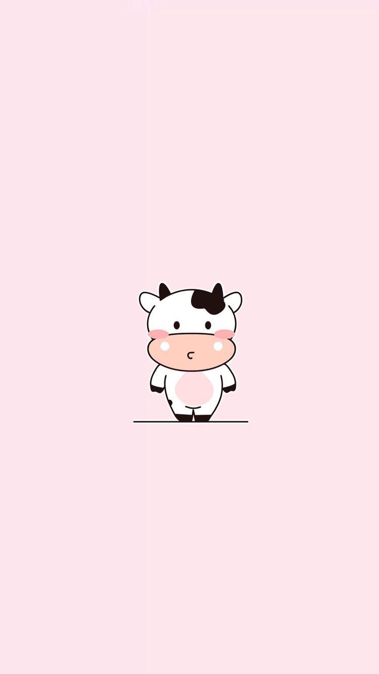 Cute Cow pics.jpg