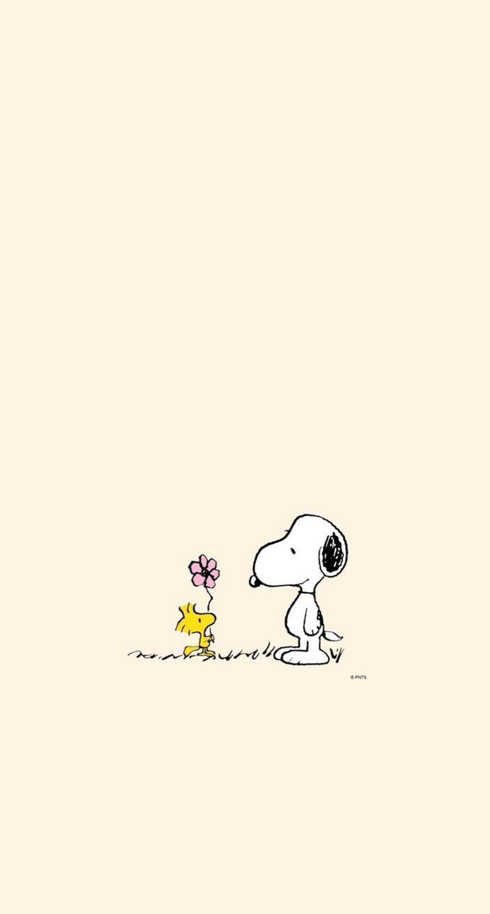 Cute Snoopy Images.jpg