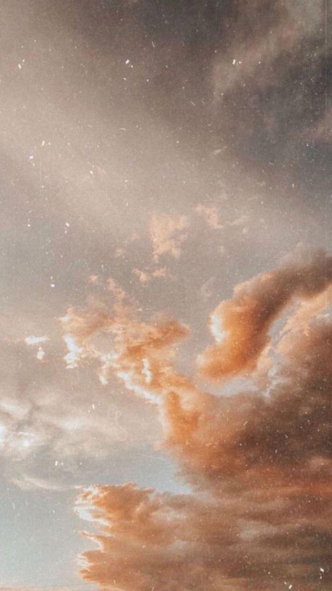 Neutral Aesthetic Images.jpg