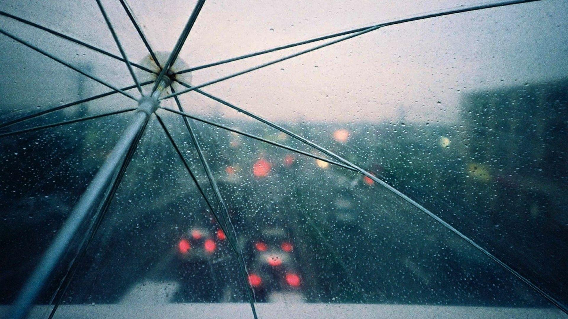 Rain picture.jpg