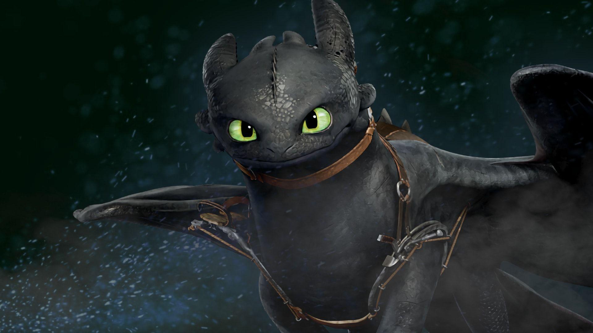 Toothless Picture.jpg