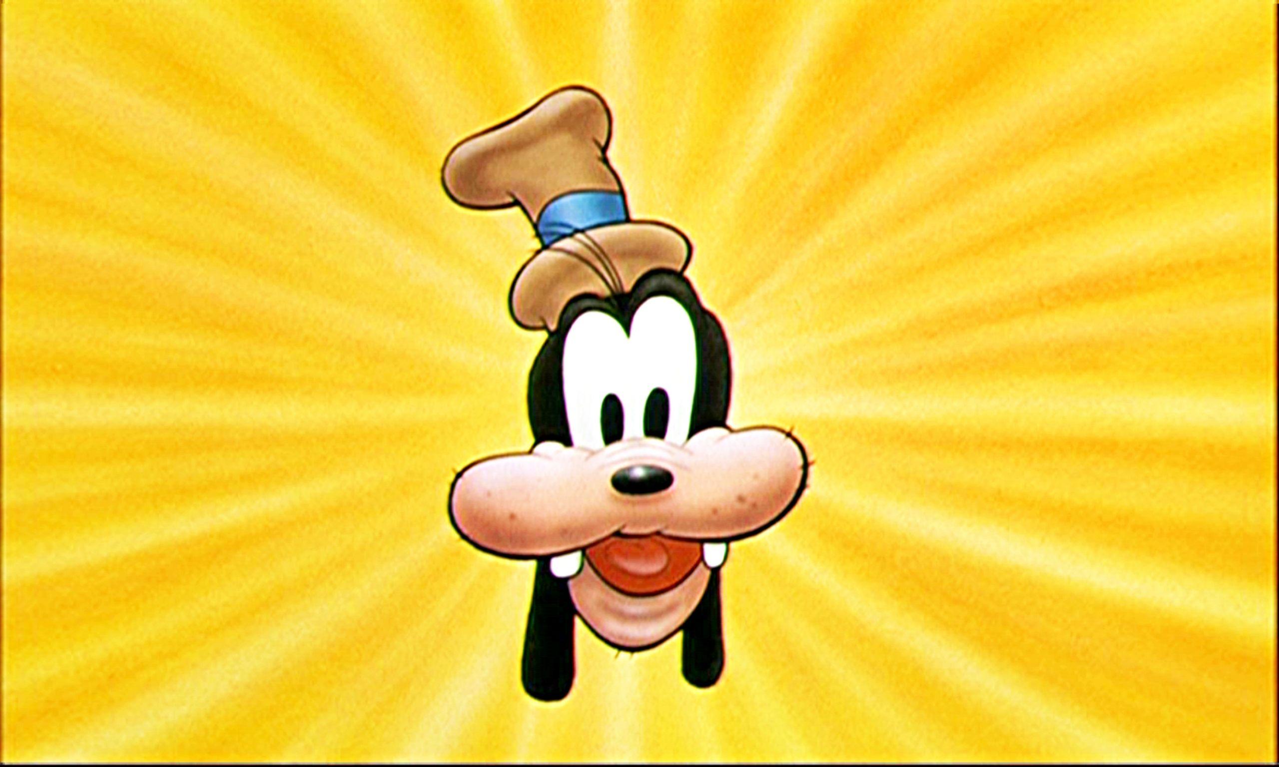 Goofy Wallpaper.jpg