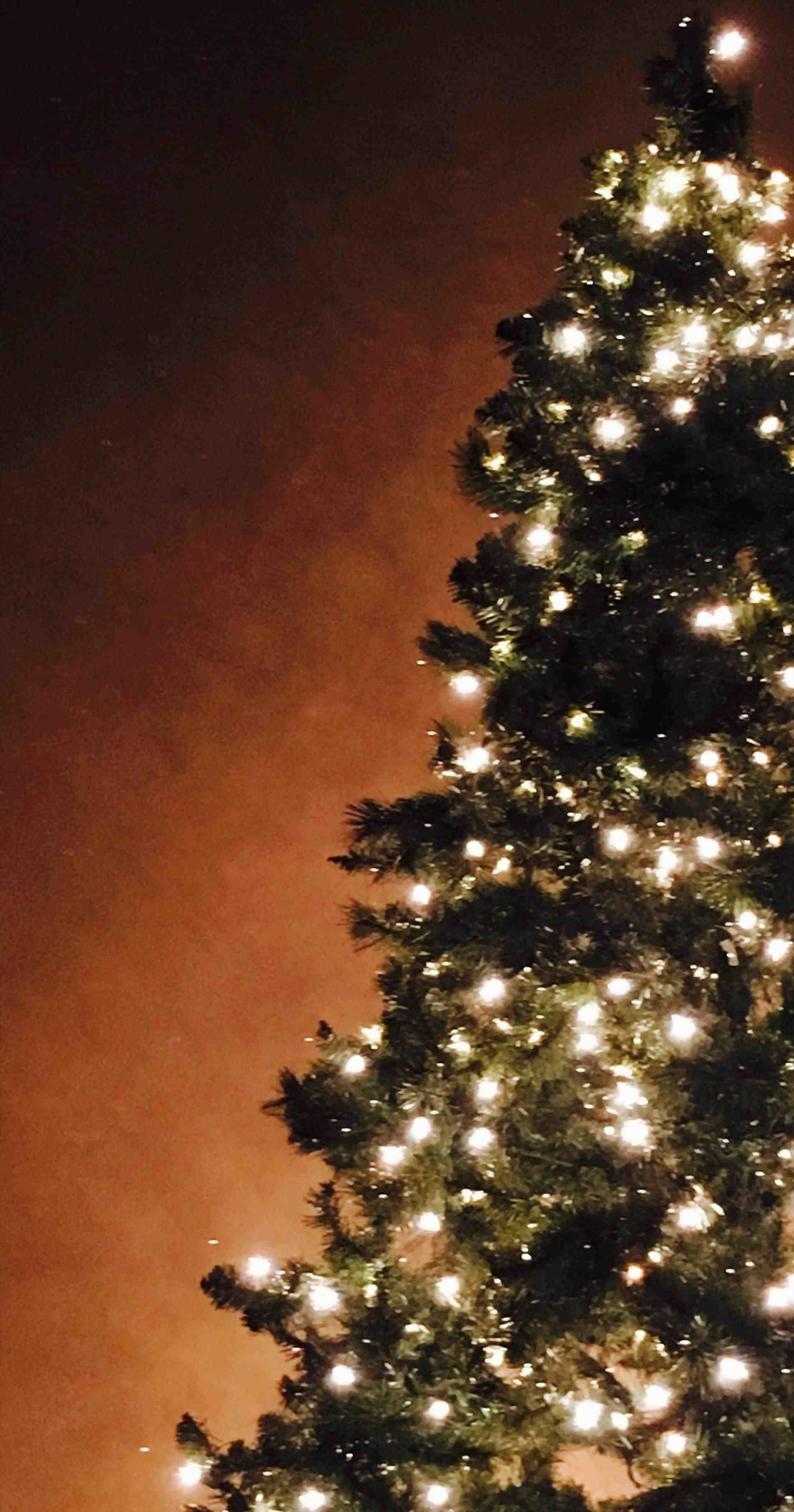 Christmas Tree iPhone Wallpaper.jpg