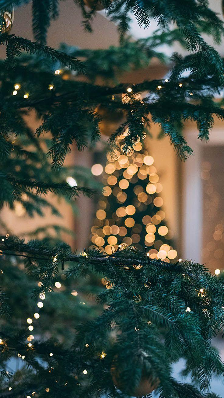 Christmas Tree iPhone Images.jpg