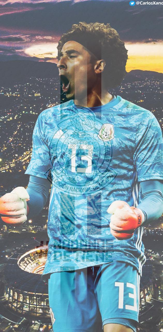 Ochoa Pictures.jpg