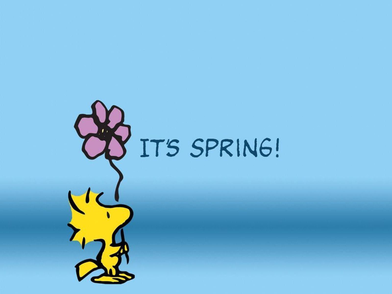 Snoopy Spring Wallpapers.jpg