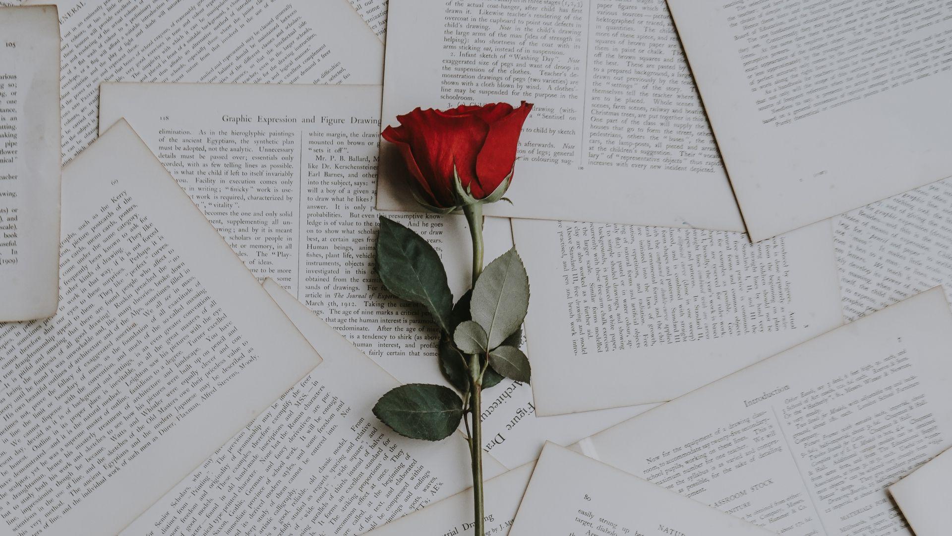 Books Aesthetic Desktop Wallpapers.jpg