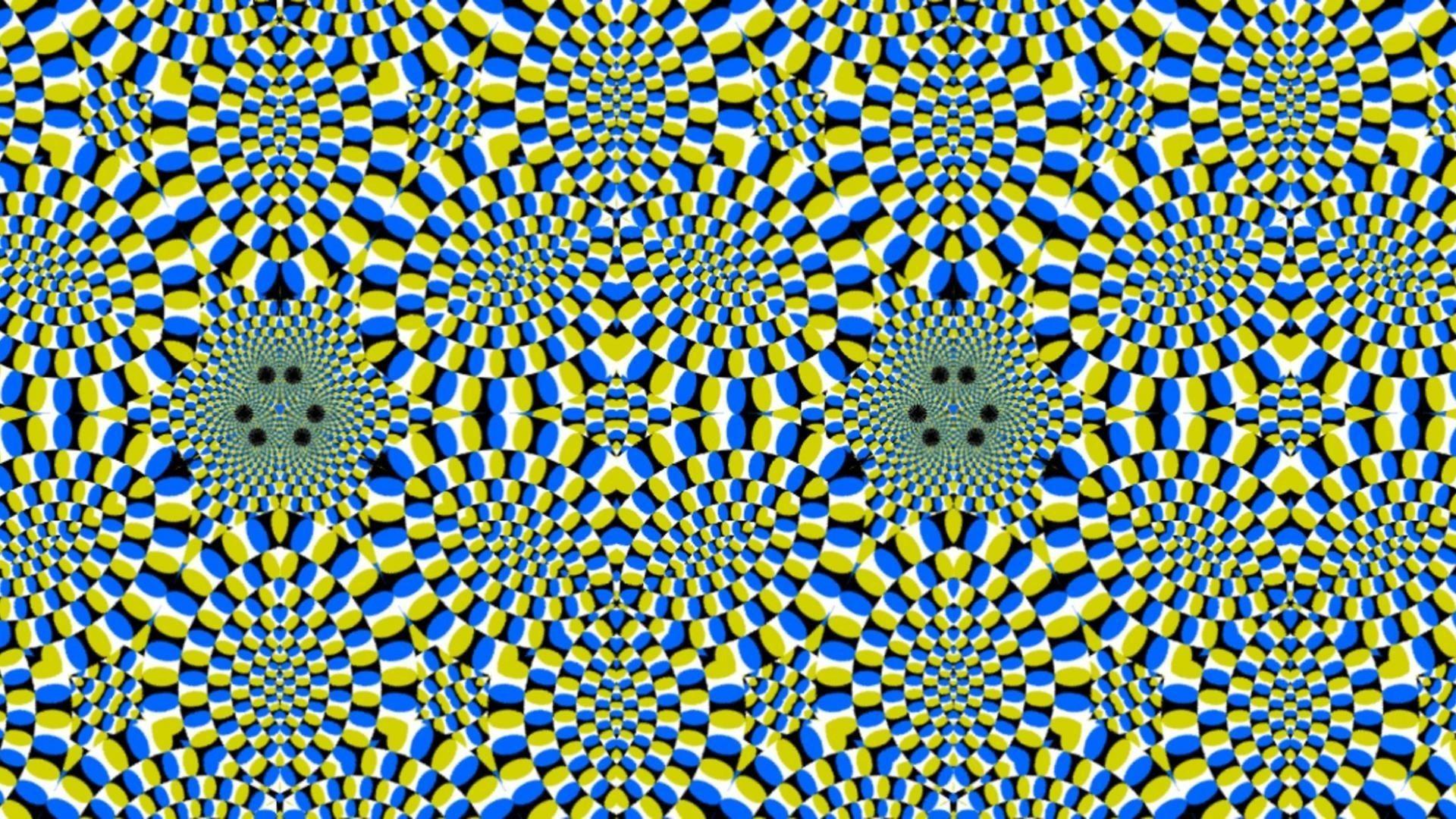Cool Optical Illusions Image.jpg