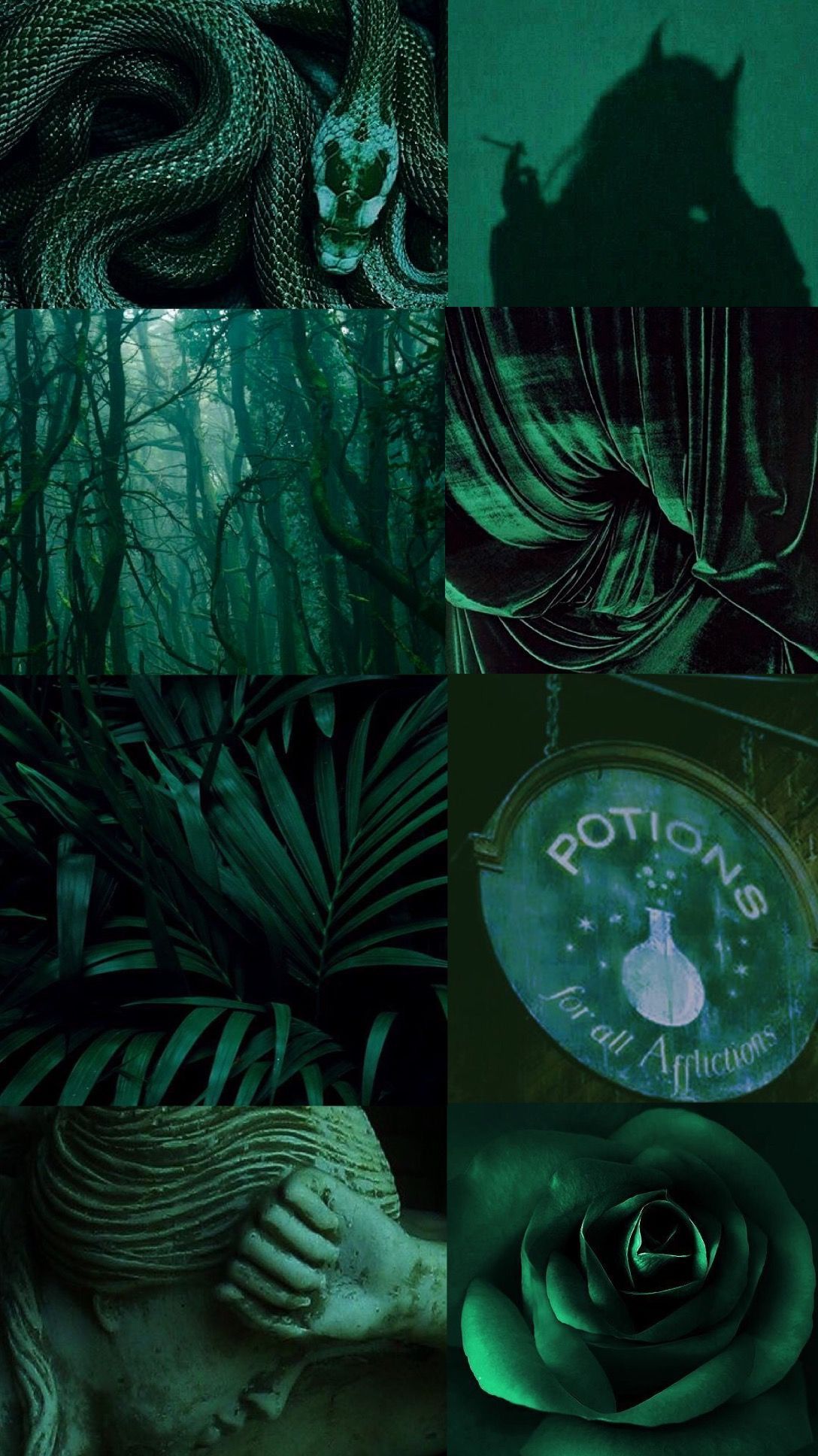 Green Aesthetic photos.jpg