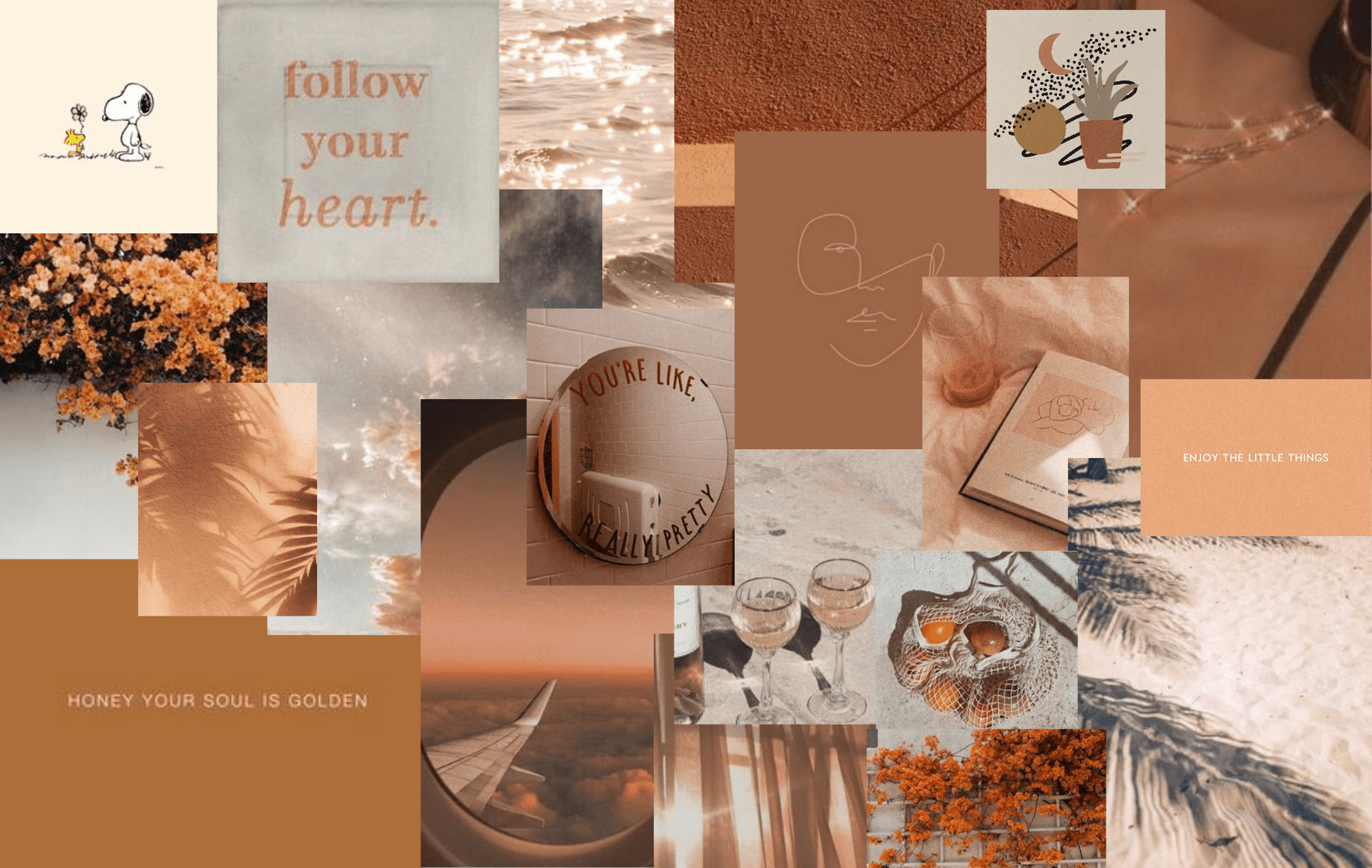 Brown Aesthetic Laptop Images.png