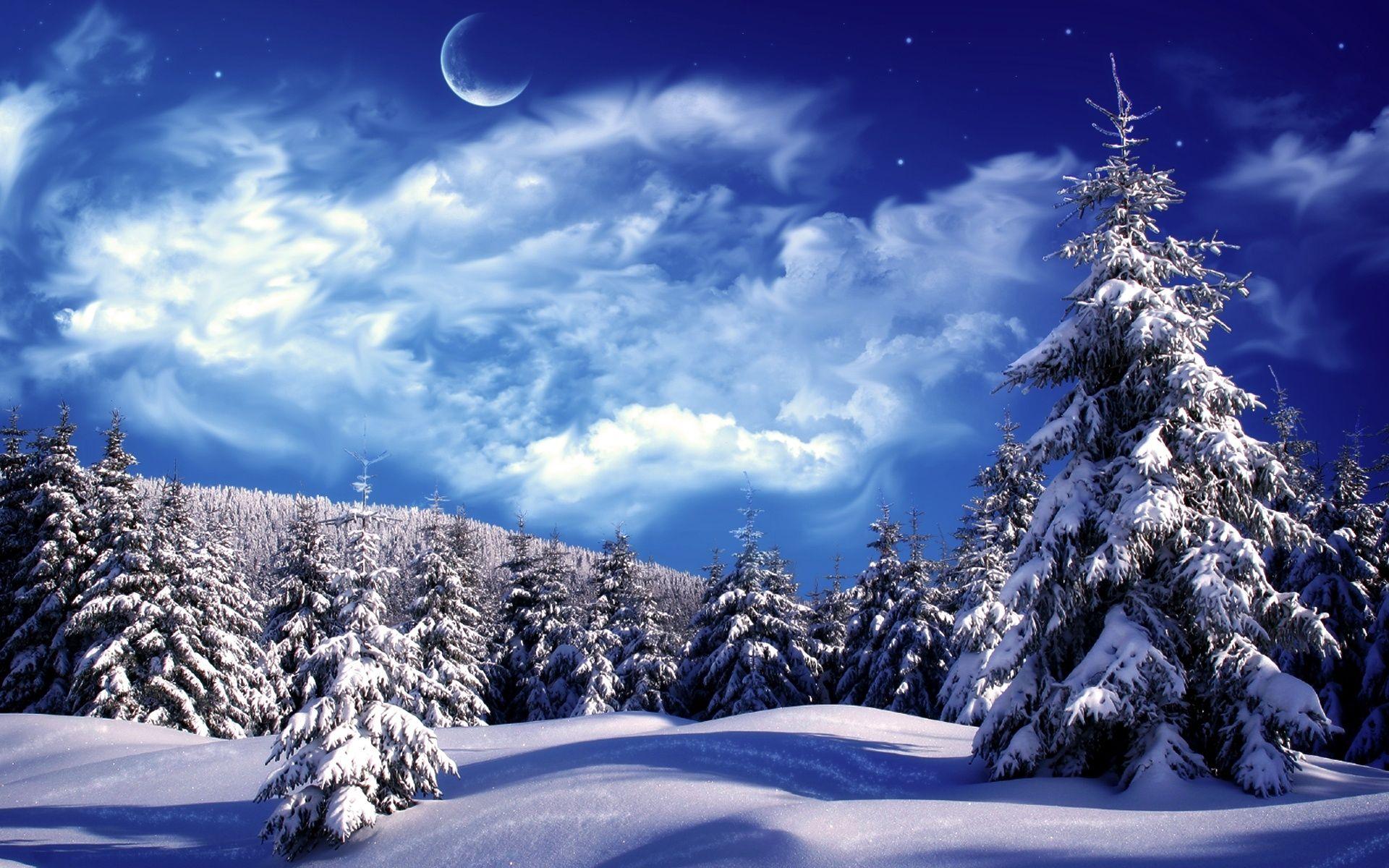 Winter Scenery wallpapers.jpg