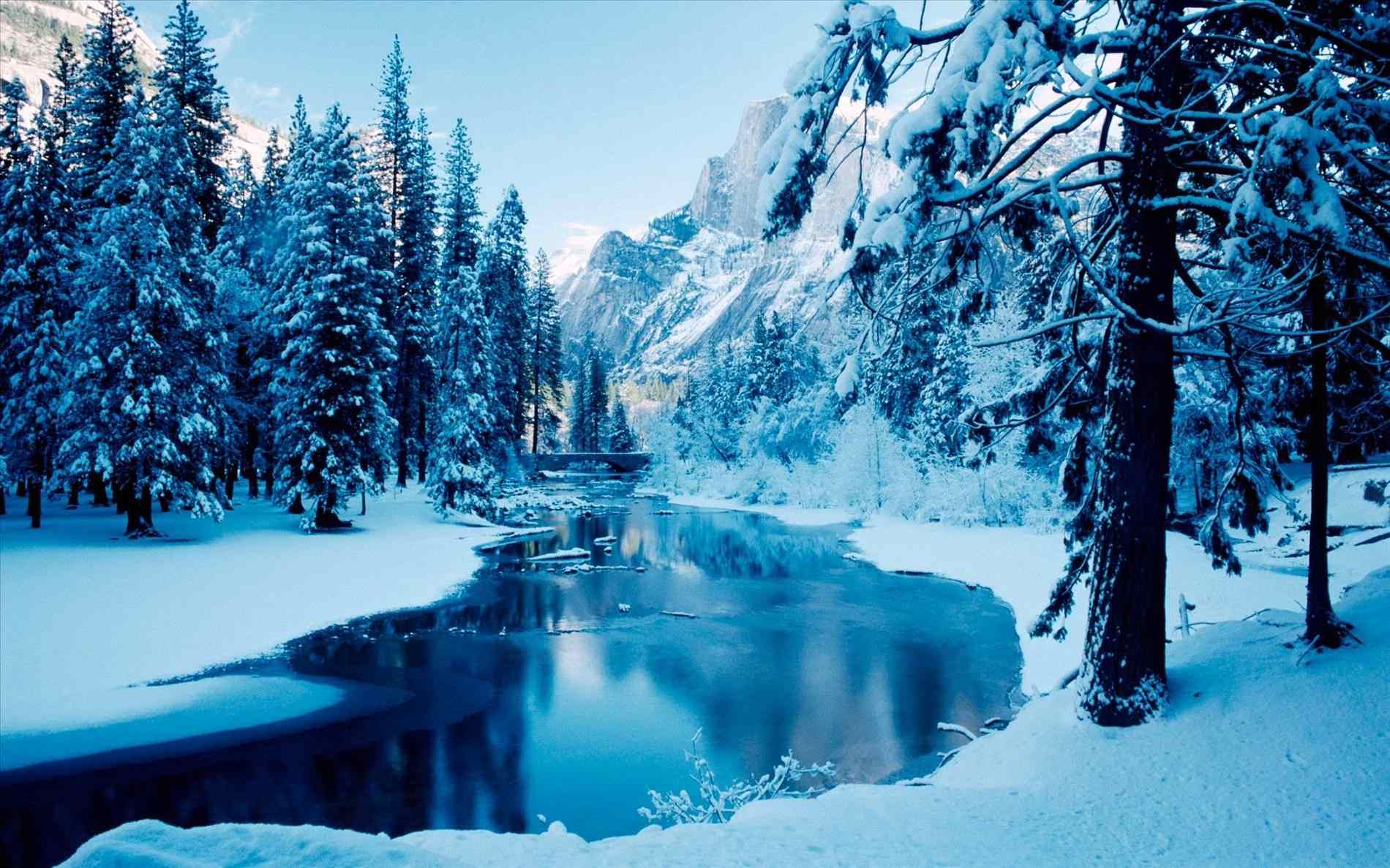 Winter Scenery pictures.jpg