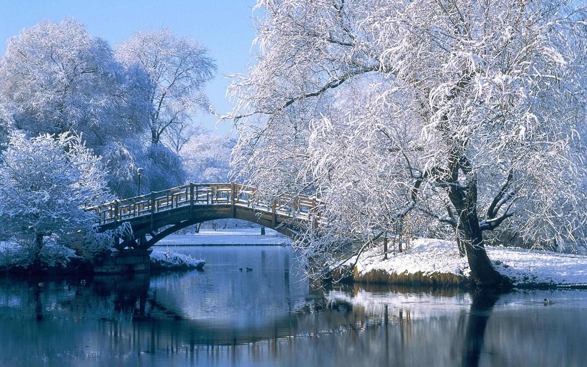 Winter Scenery picture.jpg