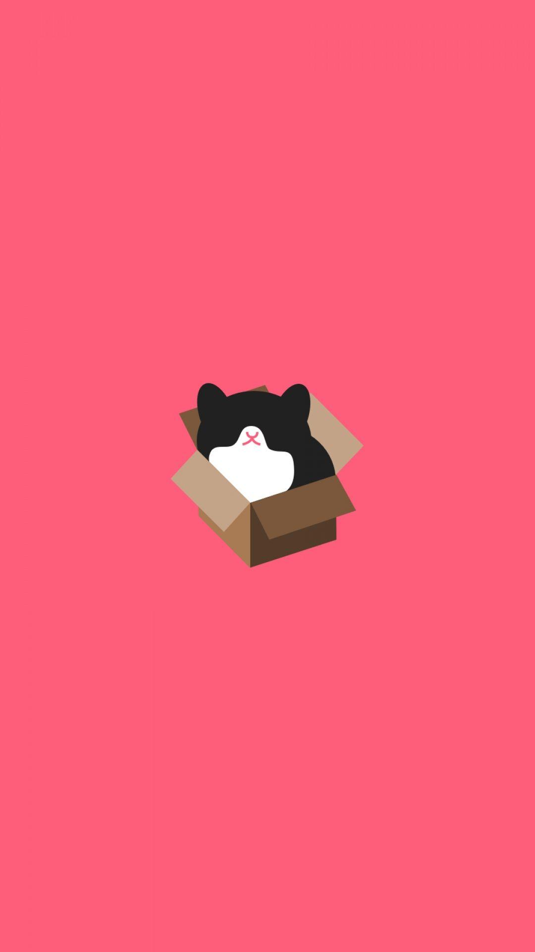 Aesthetic Cat Images.jpg
