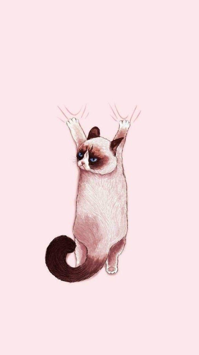 Aesthetic Cat Picture.jpg