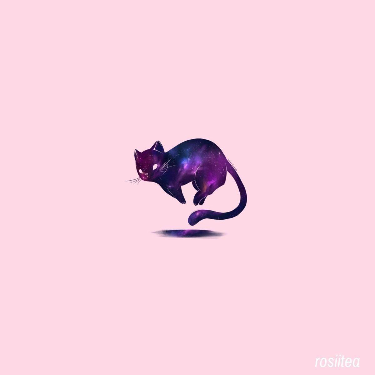 Aesthetic Cat Image.jpg