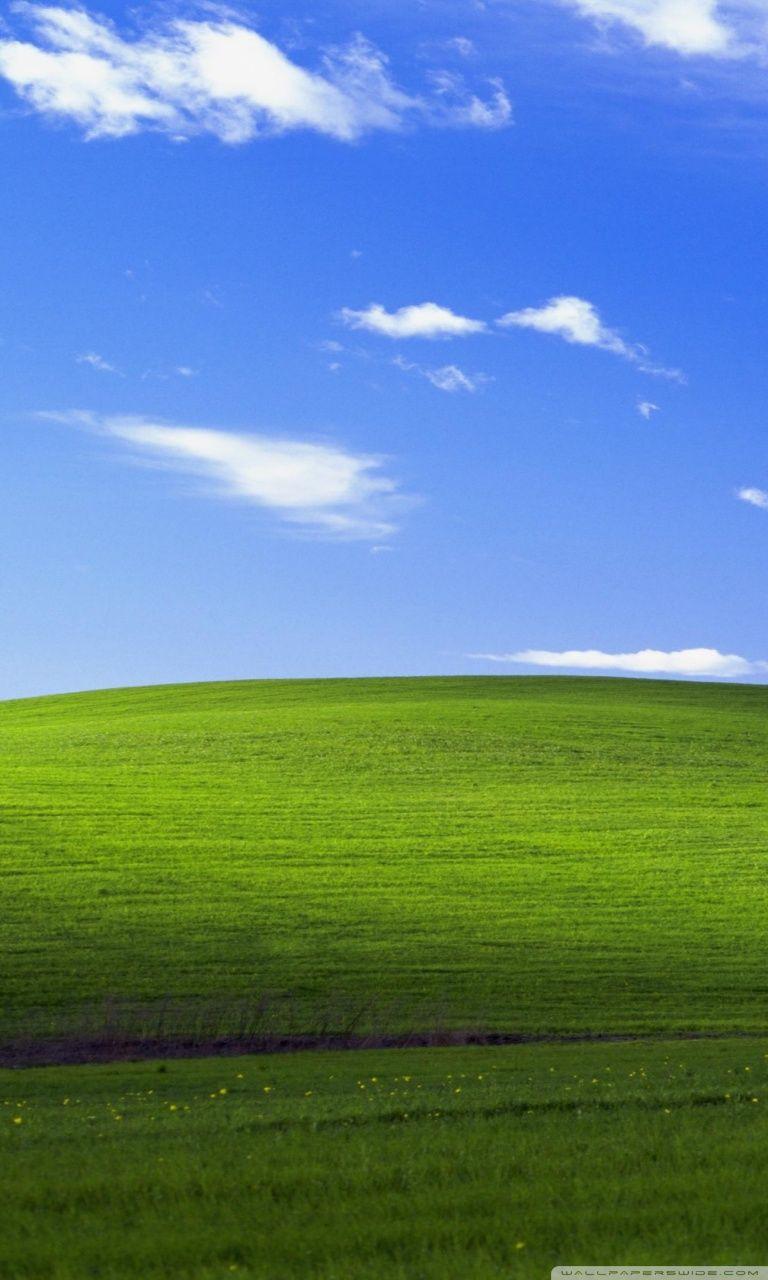 Windows XP Wallpaper.jpg