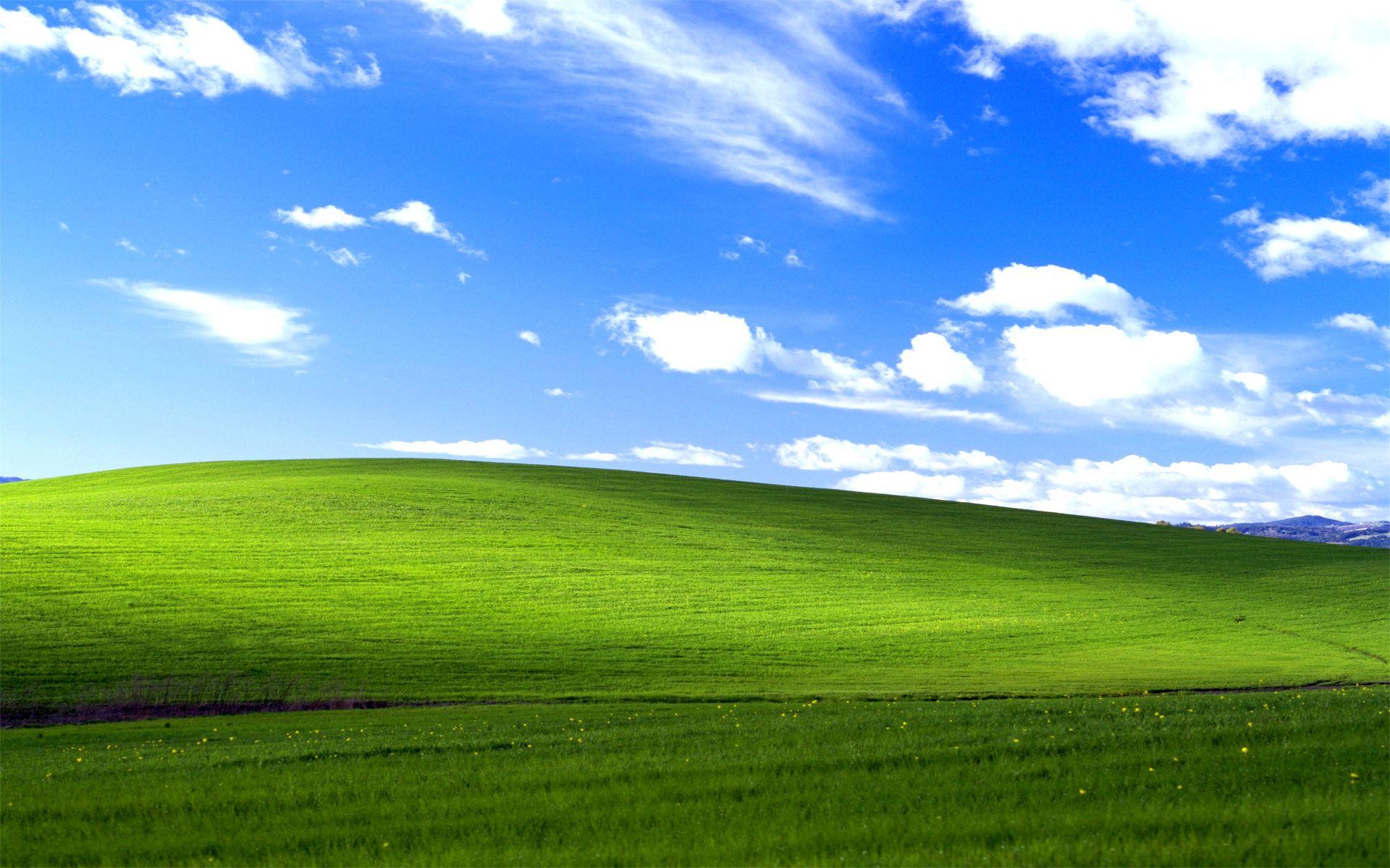 Windows XP pics.jpg