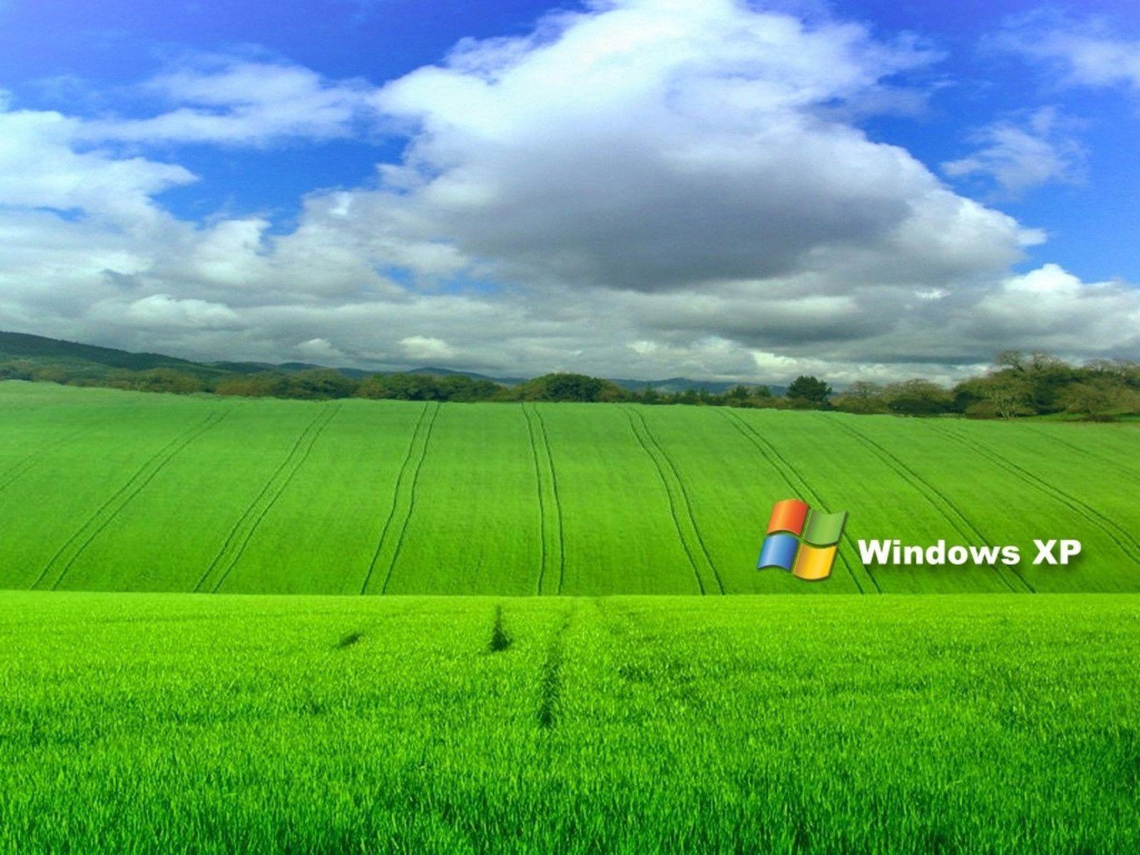 Windows XP Wallpapers.jpg