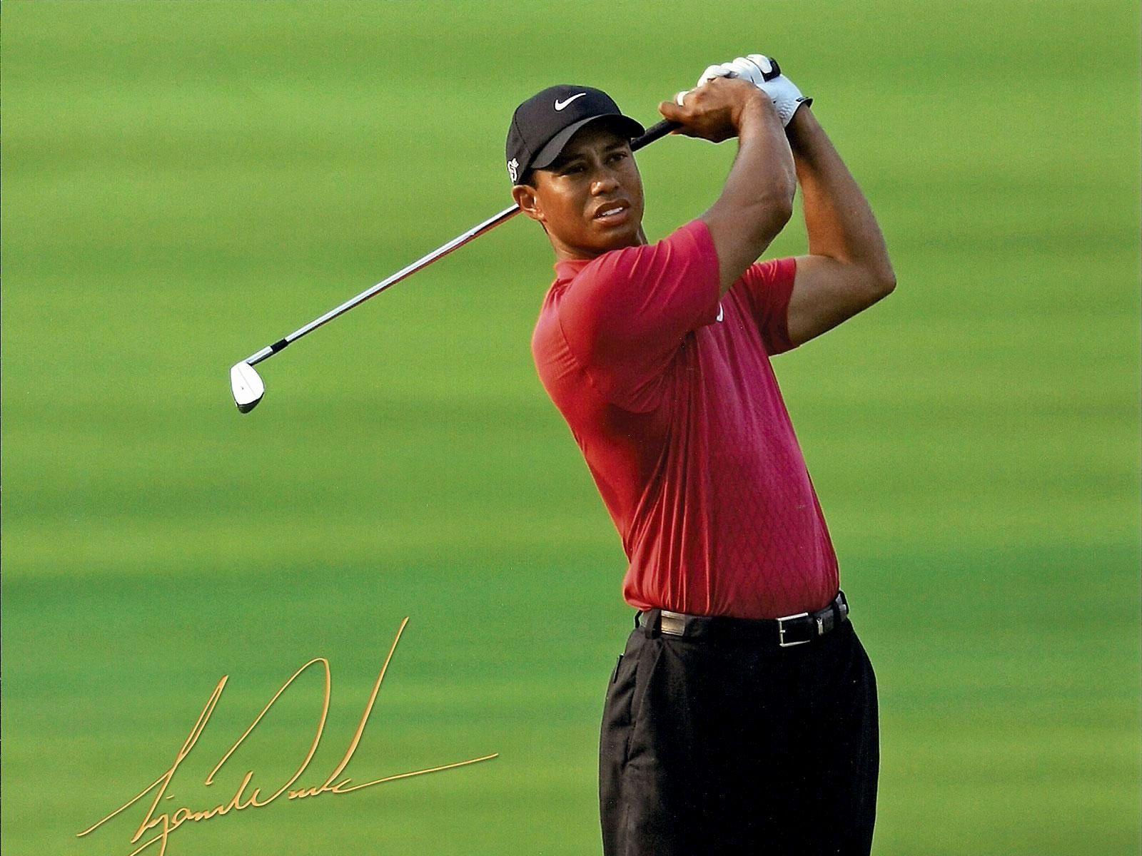 Tiger Woods Image.jpg
