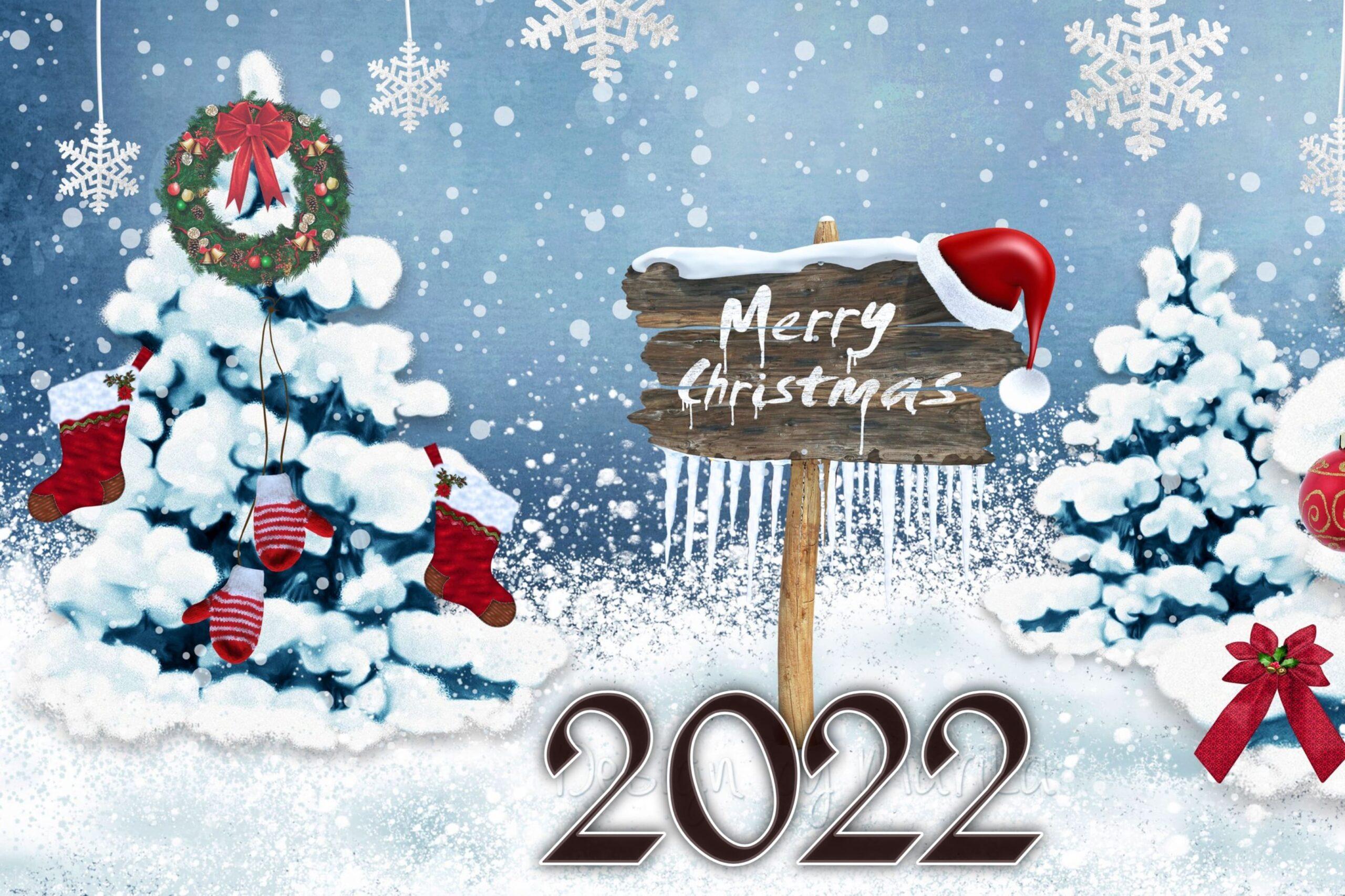 Merry Christmas 2022 picture.jpg