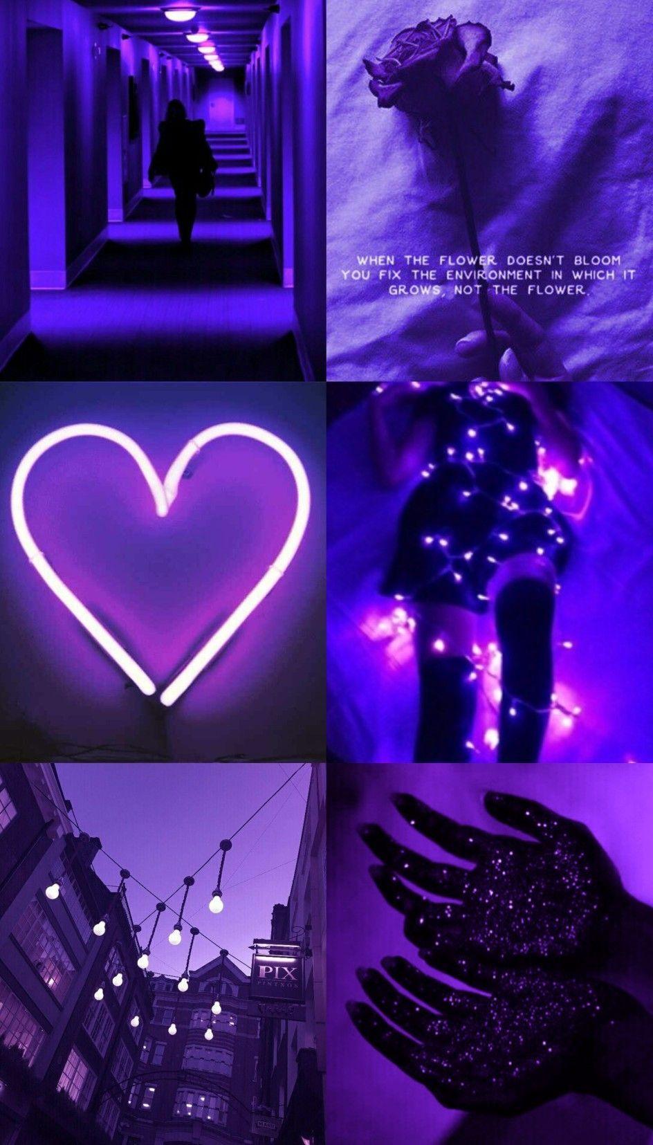 Light Purple Aesthetic pics.jpg