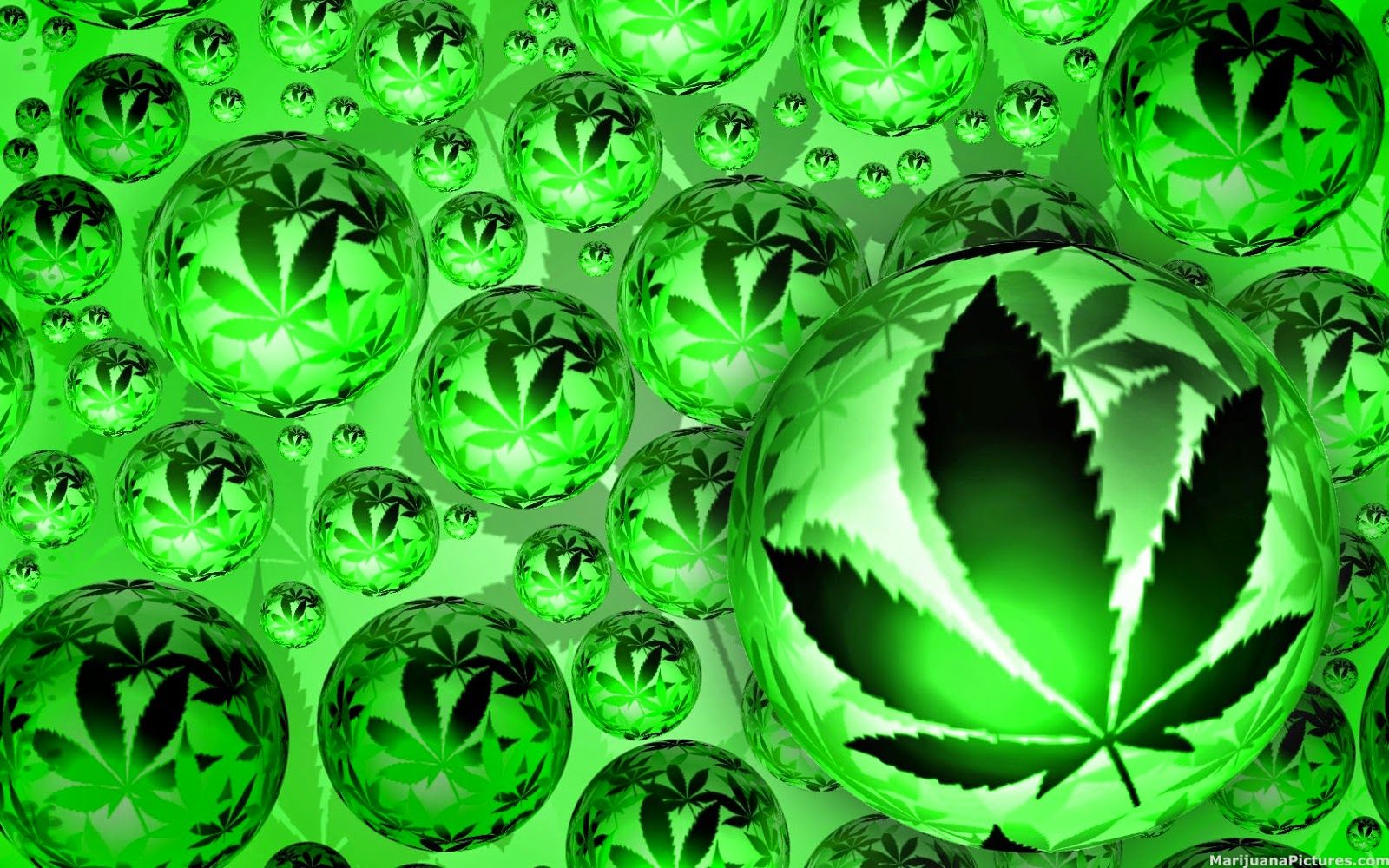 Cool Weed Images.jpg