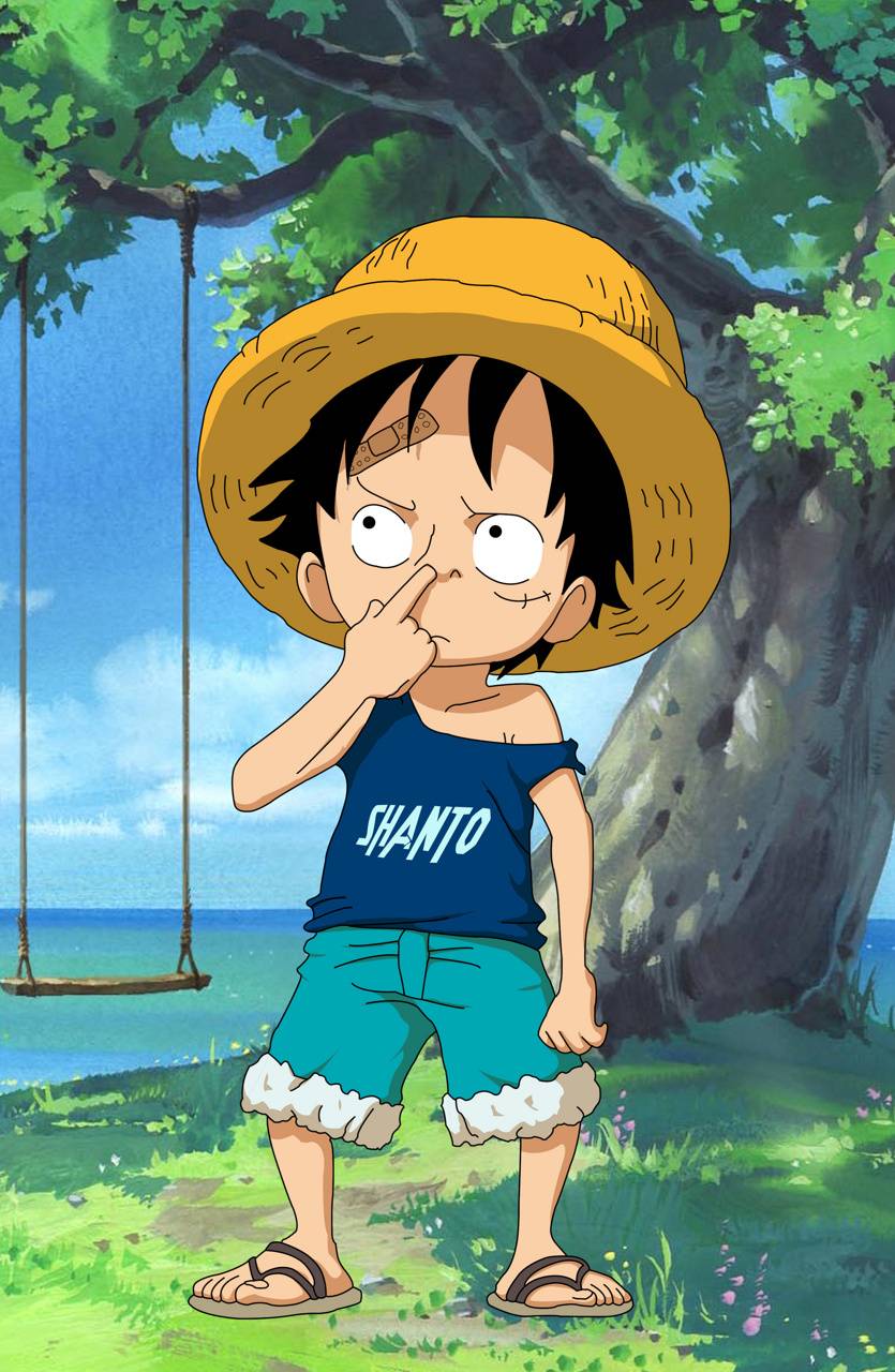 Luffy Funny Image.jpg