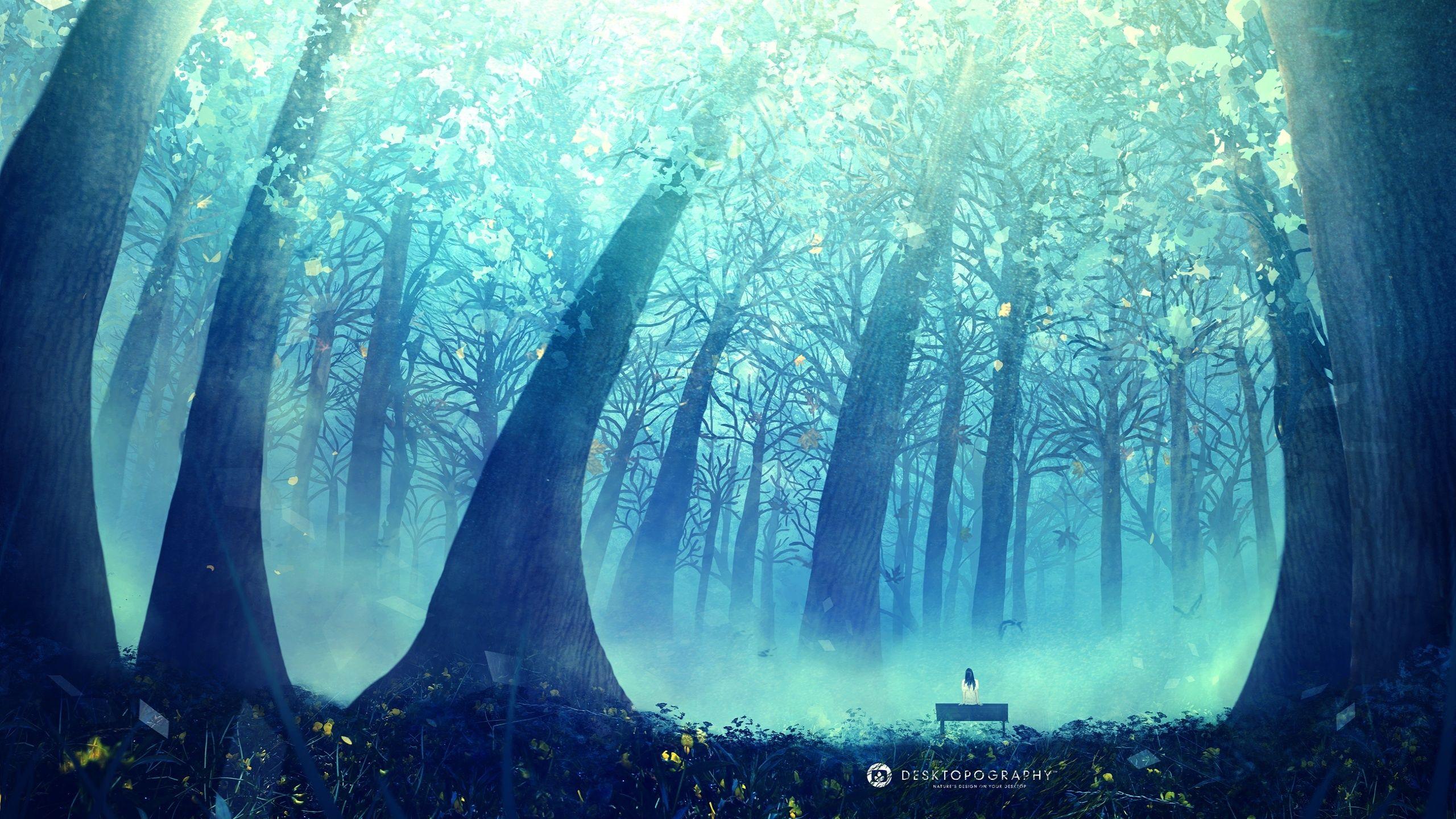 Anime Forest Image.jpg