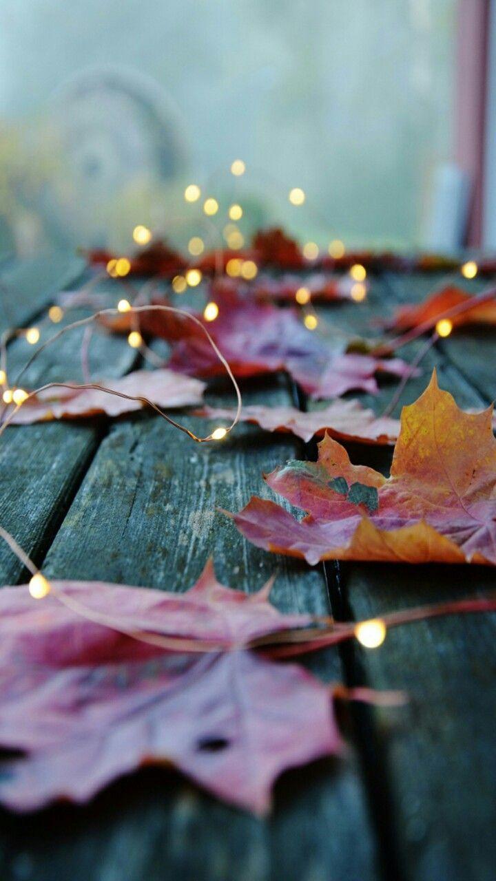 Fall Aesthetic iPhone Image.jpg